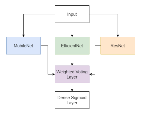 Ensemble Method of Diabetic Retinopathy Detection